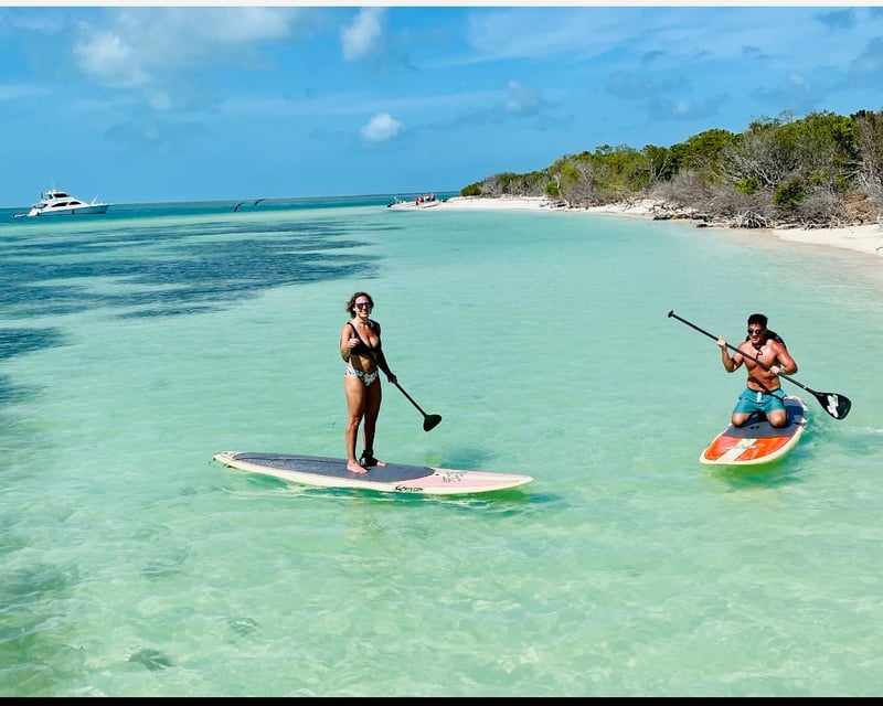 Explore a Key West Island & Dolphin Watching Charter