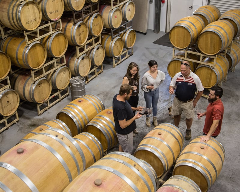 Guided Harvest Wine Tour & Tasting in Healdsburg