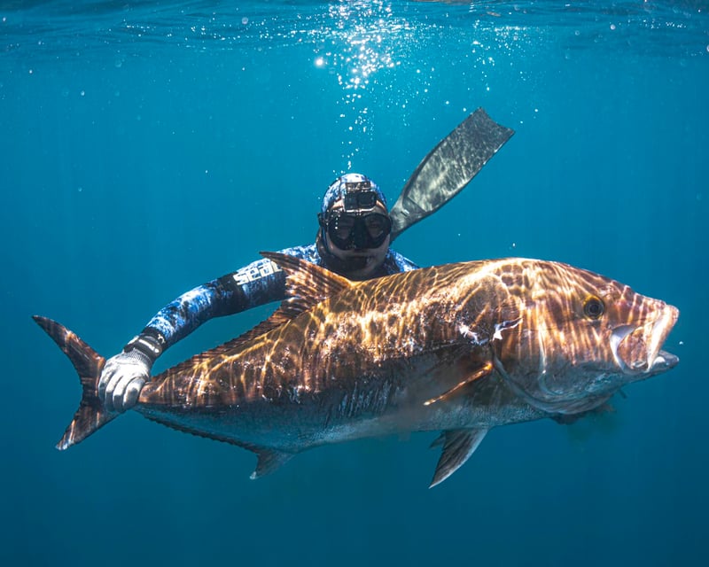 Small-Group Spearfishing Charter in San José del Cabo