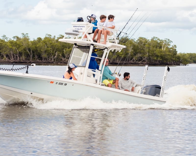 Marco Island Dolphin & Eco Cruise