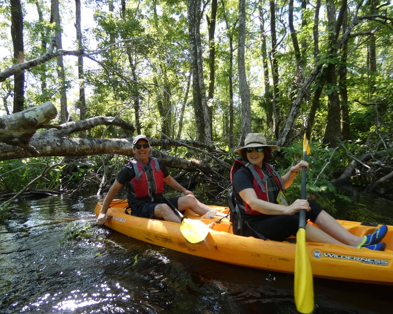 Blackwater Creek Guided Kayak Tour in Seminole State Forest