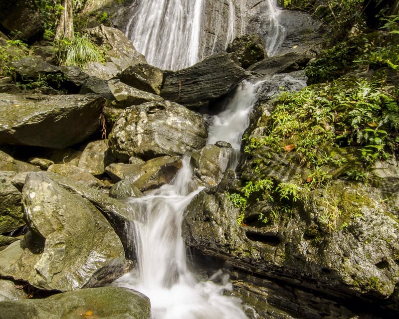 Guided El Yunque & Nighttime Bio Bay Kayak Tour