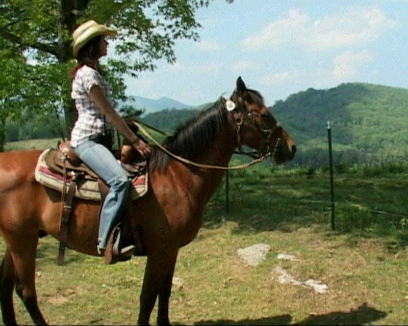 Mountain Summit Horseback Ride Near Lake Glenville