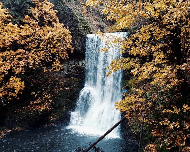 Full-Day Waterfall Hike in Silver Falls State Park