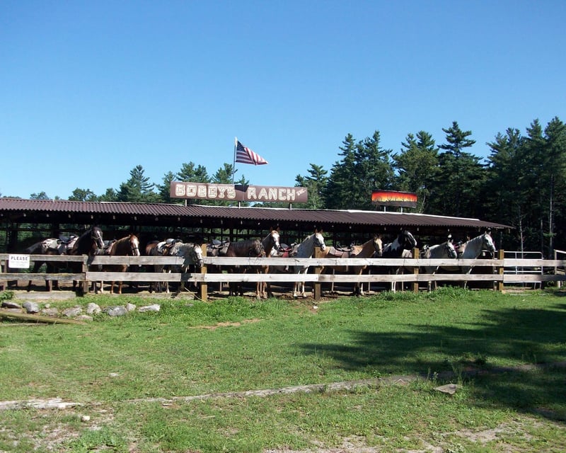 Private Guided Horseback Trail Ride in Westford, MA