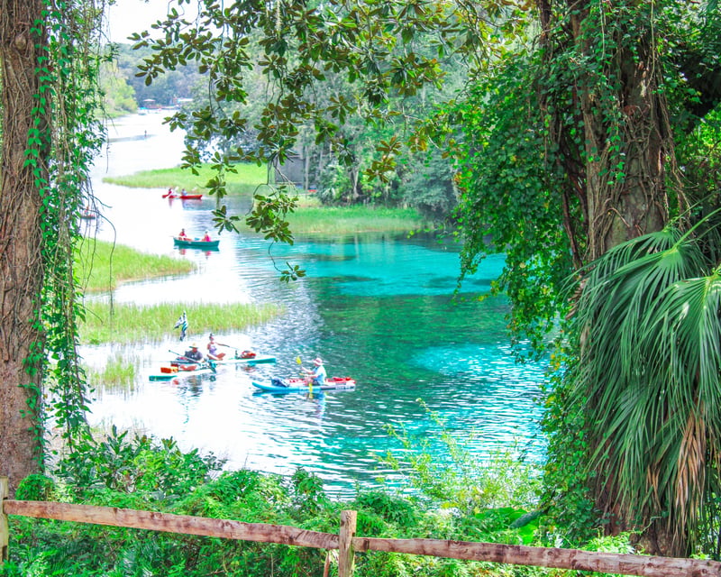Rainbow River 1.5-Hour Guided Kayak Tour