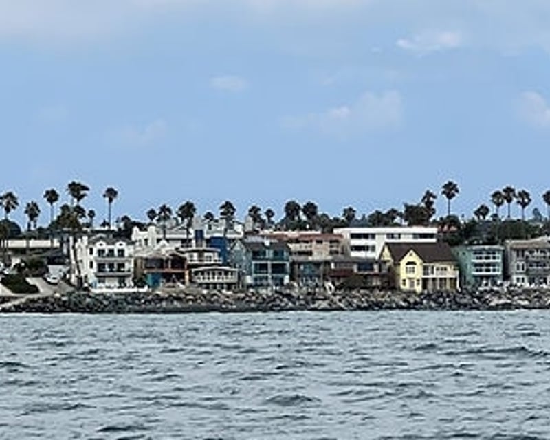 Private Whale & Dolphin Watching Tour in Oceanside