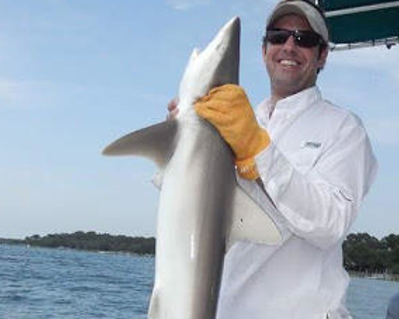 Light Tackle Shark Fishing Trip on Hilton Head Island