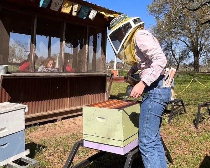 Live Hive Beekeeping Tour in Navasota