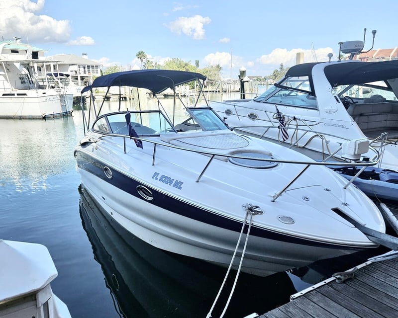 Shell Key & Egmont Key Boat Tour from Madeira Beach