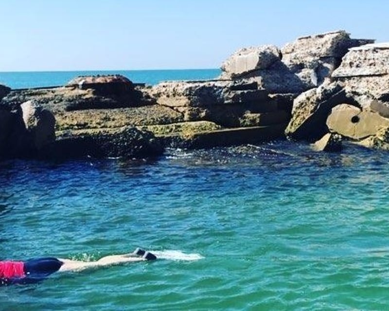Private Snorkel & Cruise Boat Charter in Bradenton