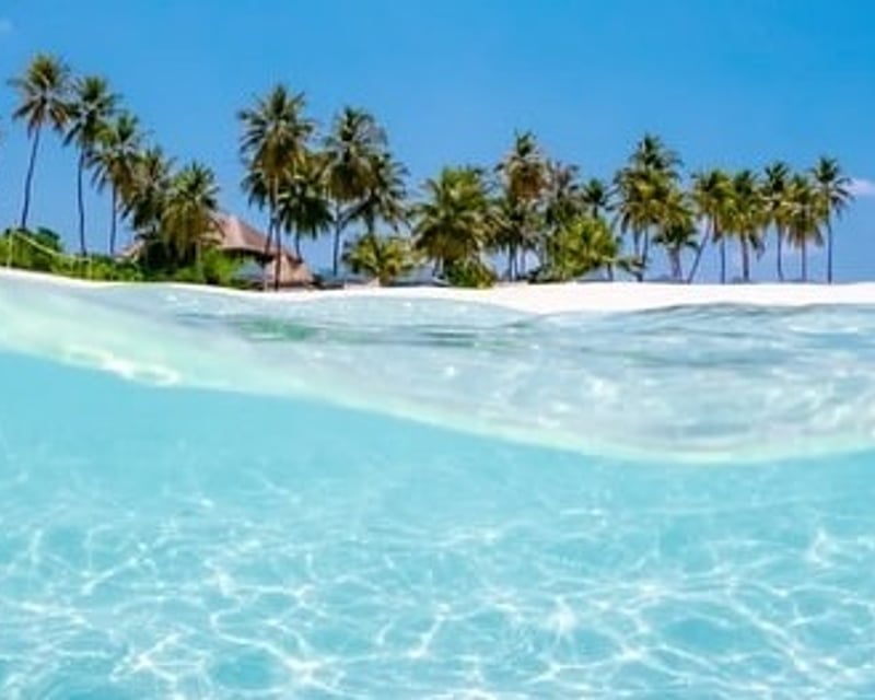 Cruise to Shell Island Beach on a Private Catamaran
