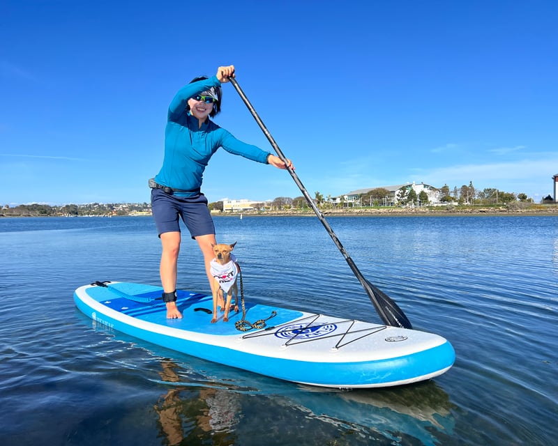 Learn Inflatable SUP With Your Dog in San Diego