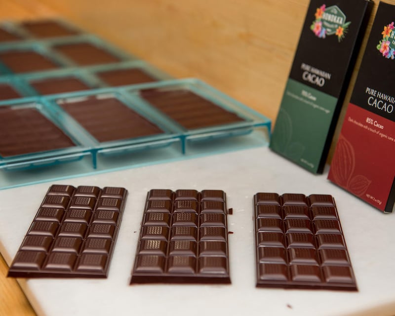 Cacao Farm Tour & Chocolate Tasting in Honokaa