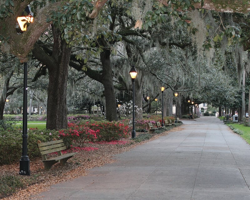 Evening Walking Tour to Forsyth Park in Savannah