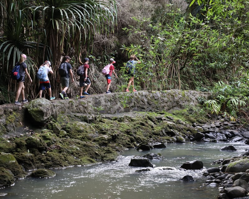 Private Waterfall & Rainforest Hike on Hana Highway, Maui
