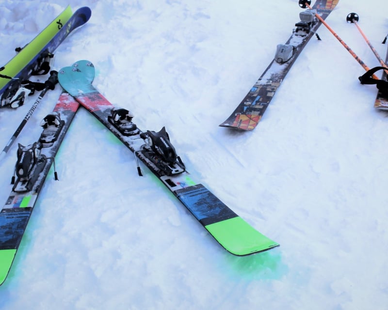 Cross Country Ski & Snowshoe Brunch Tour in Gaylord