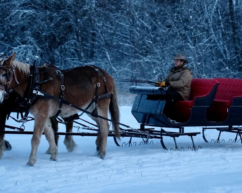 Private Cutter Sleigh Ride in Leavenworth