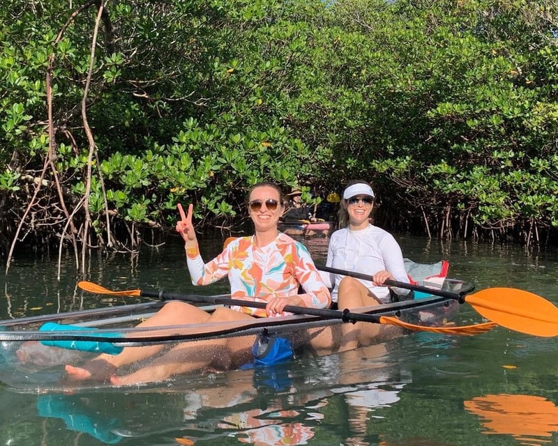 Clear Kayak Mangrove Tour in Fort Pierce Inlet State Park