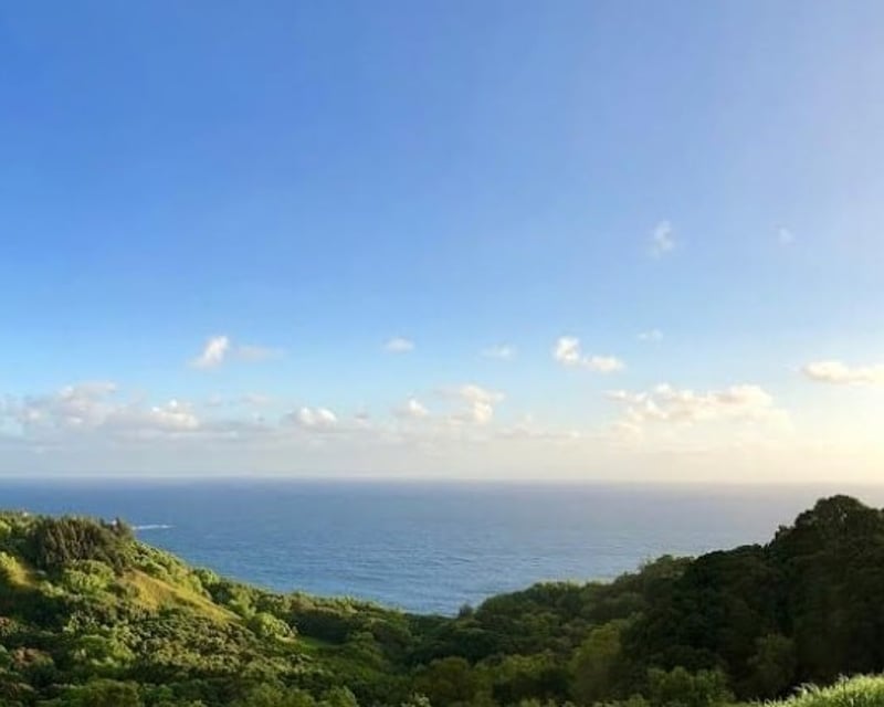 Private Road to Hana Tour on Maui with Wai’anapanapa