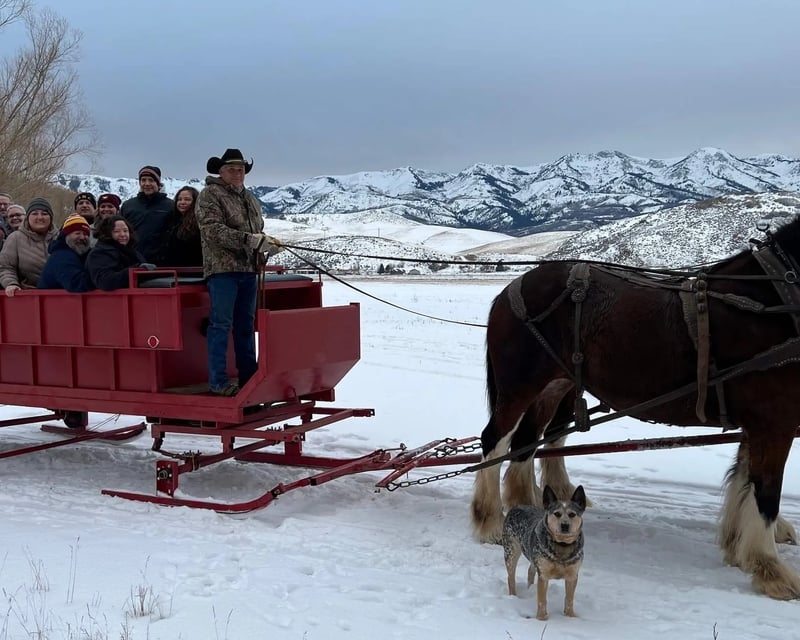 Clydesdale Sleigh & Wagon Rides in West Morgan, UT