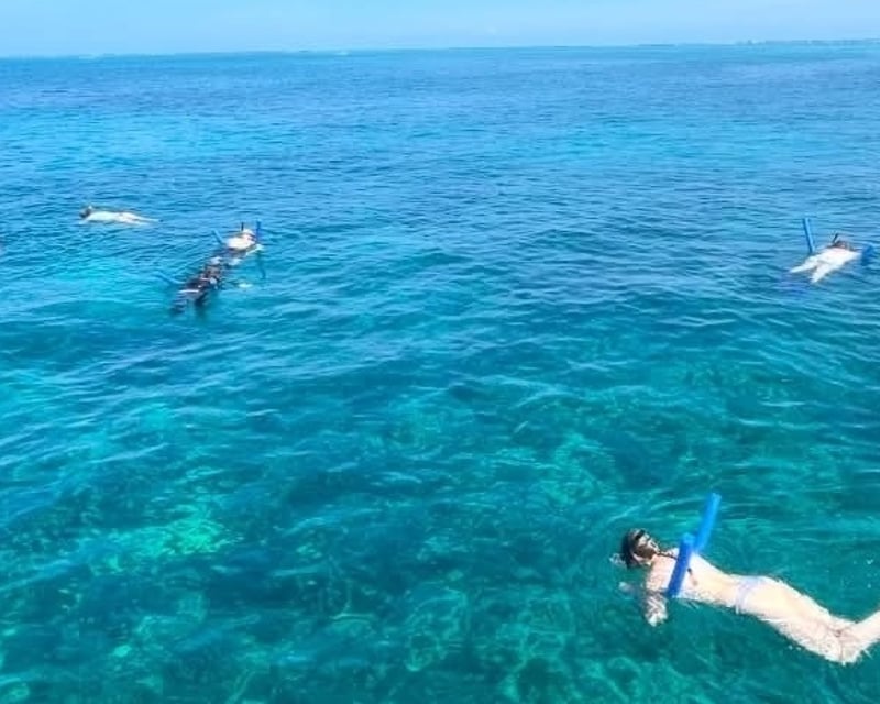Catamaran Coral Reef Snorkeling Tour in Islamorada
