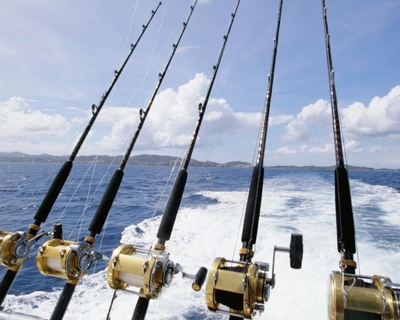 Hilton Head Island Nearshore Fishing Charter