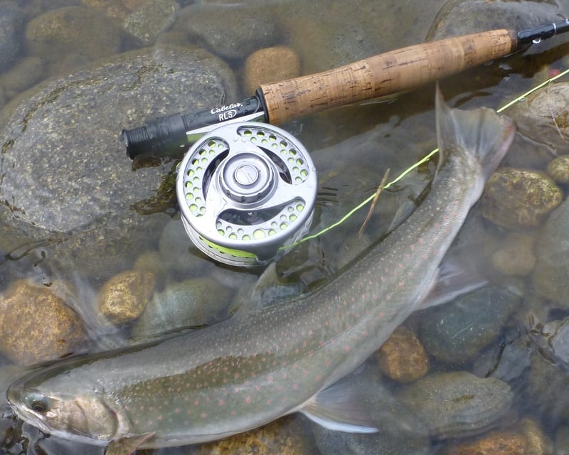 Talkeetna 5-Hour Private Fly Fishing Charter