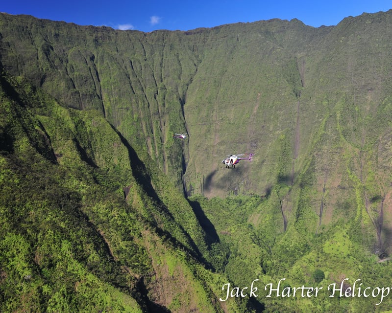 Doors-Off Helicopter Tour Around Kauai