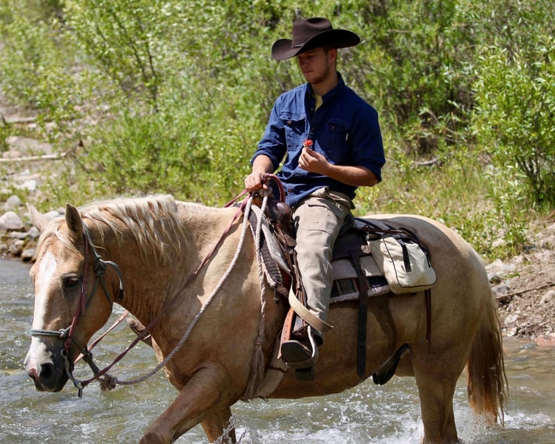 Guided Half-Day Horseback Ride in Jackson Hole