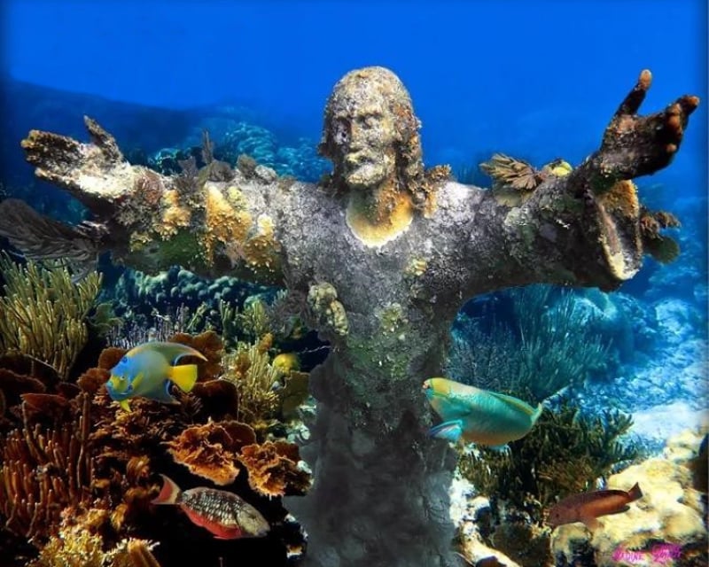 Christ of the Abyss Private Snorkeling Tour in Key Largo