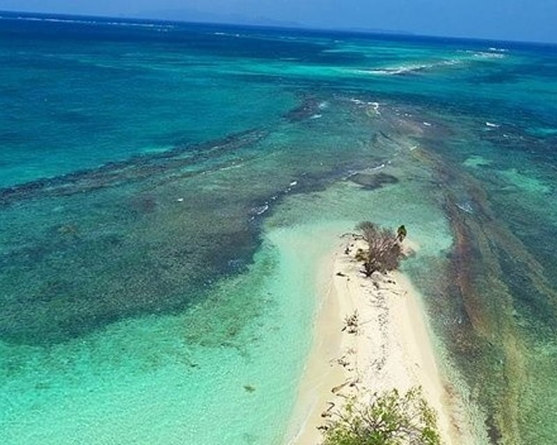 Full-Day Roatán Island Tour with Nurse Sharks & Pigeon Key