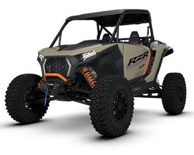 Enclosed 2-Seat RZR UTV Rental in Murphy, Idaho