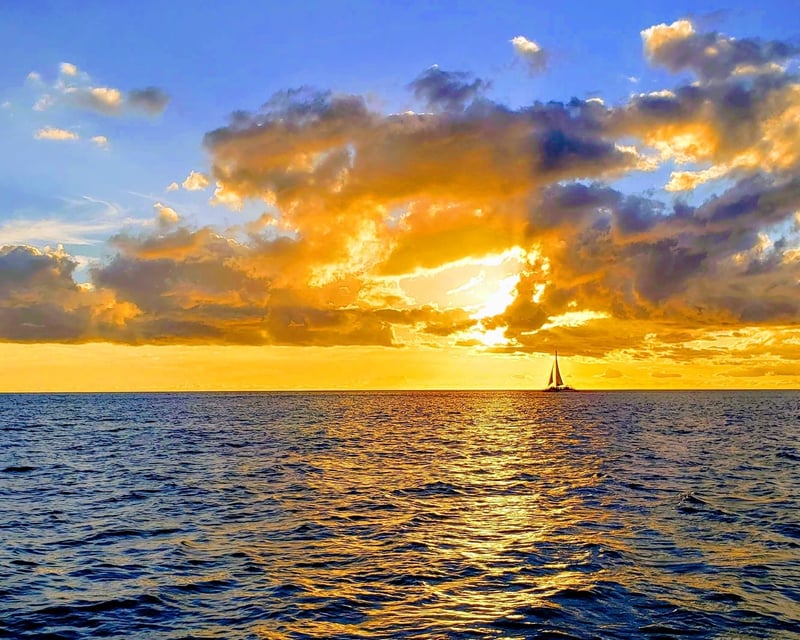 Private Waikiki Sunset Cruise & Swim