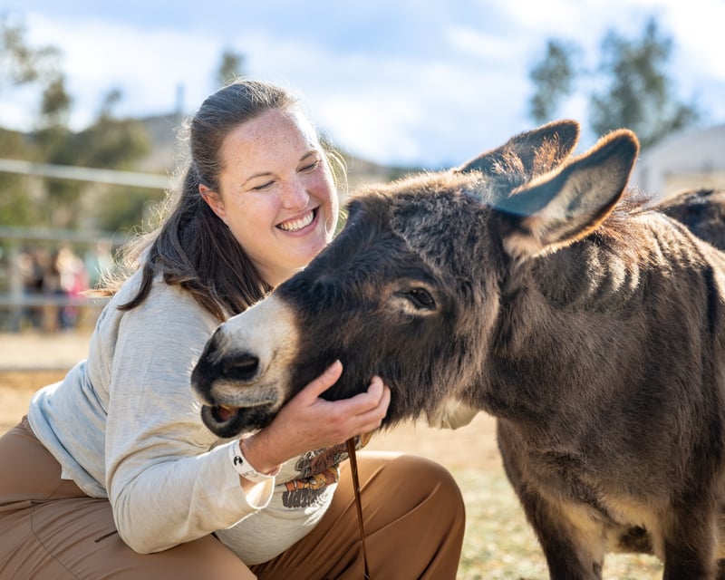 Explore a Private Farm Animal Sanctuary Tour in Acton