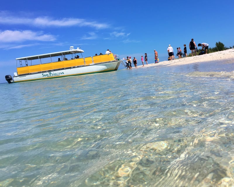 Fort Myers Beach Shelling & Dolphin Cruise to North Captiva