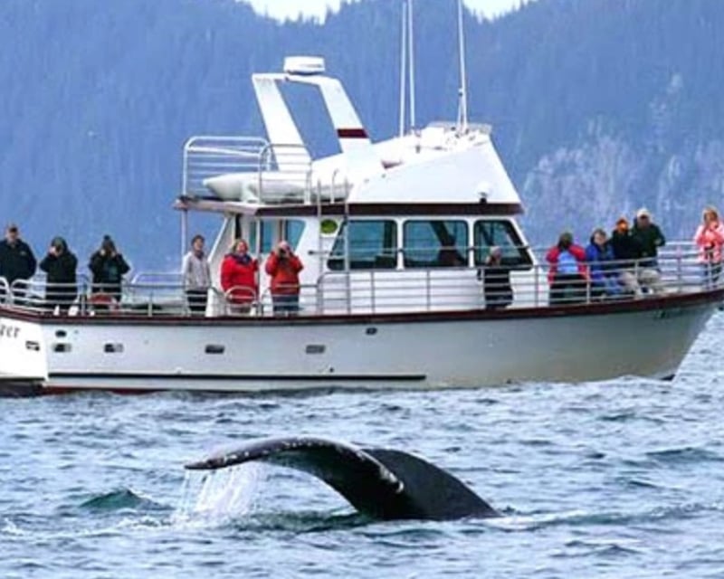 9-Hour Kenai Fjords Sightseeing & Fishing Cruise