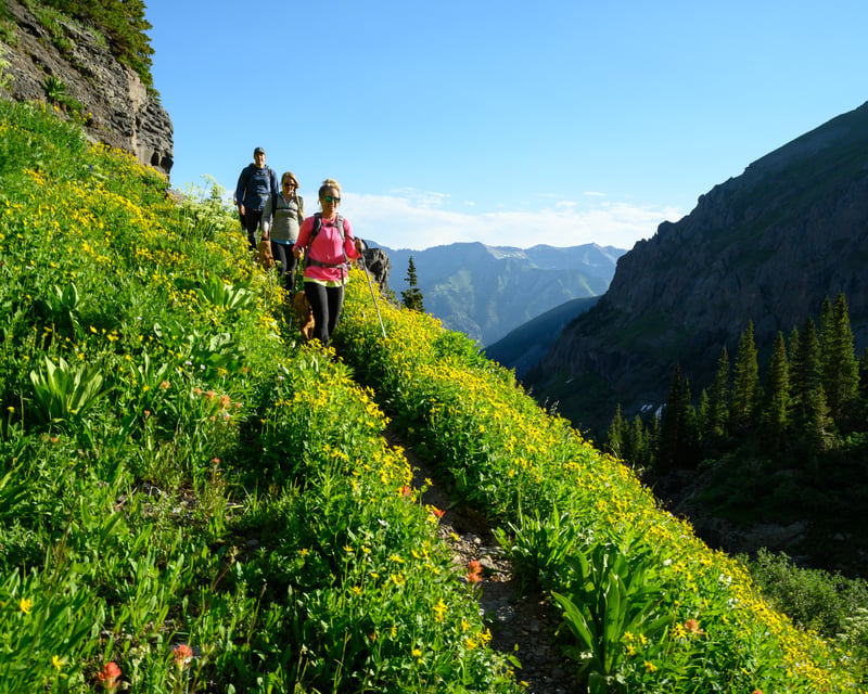 Private Half-Day Guided Hiking Tour in Telluride