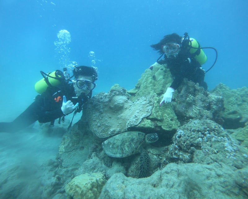 No-License Beach Scuba Dive at Hanauma Bay, Oahu