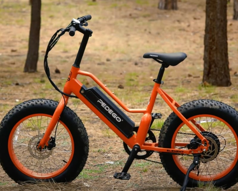 Fat Tire Electric Bike Rental in Moab