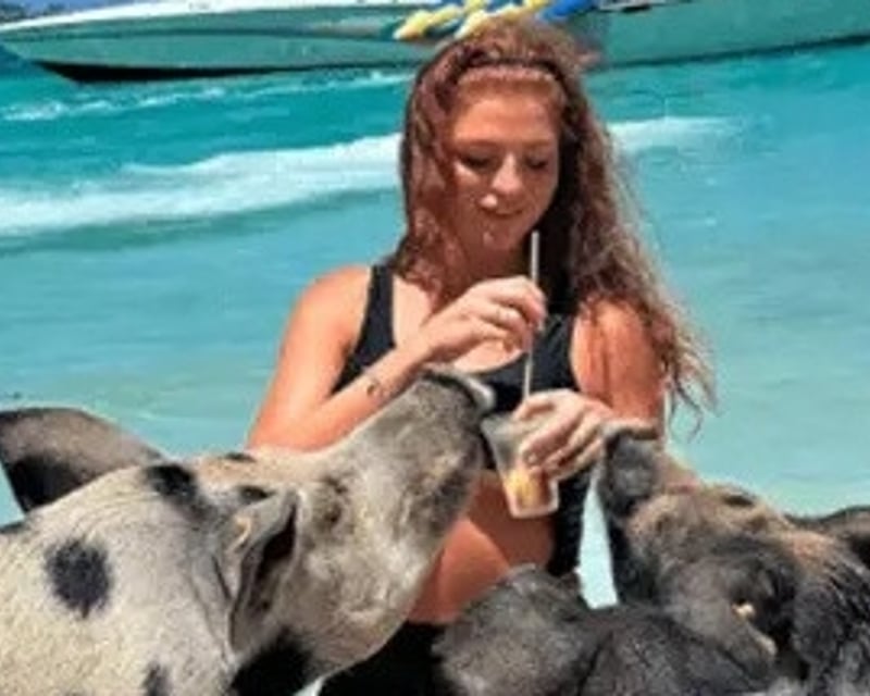 Swimming Pig Feeding Experience on Athol Island, Nassau