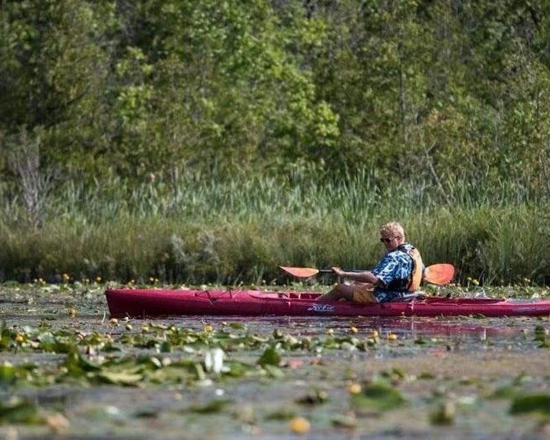 Guided Eco Estuary Kayak Tour in Door County