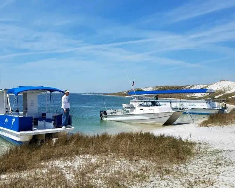 Pensacola Beach 4-Hour Dolphin & Snorkel Cruise