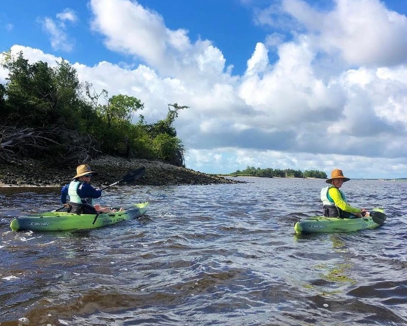 2-Hour Guided Kayak Tour in Carolina Beach