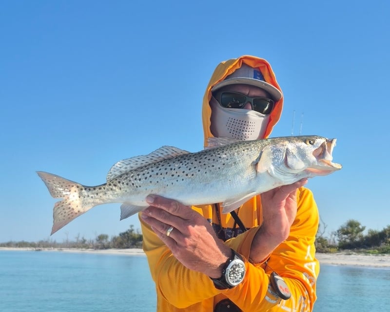 Inshore Fly Fishing Charter in North Port