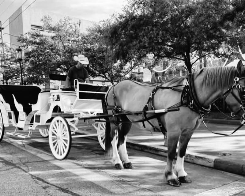 30-Minute Romantic Carriage Tour in Galveston