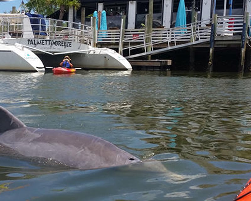 Guided 2-Hour Shem Creek Kayak Tour