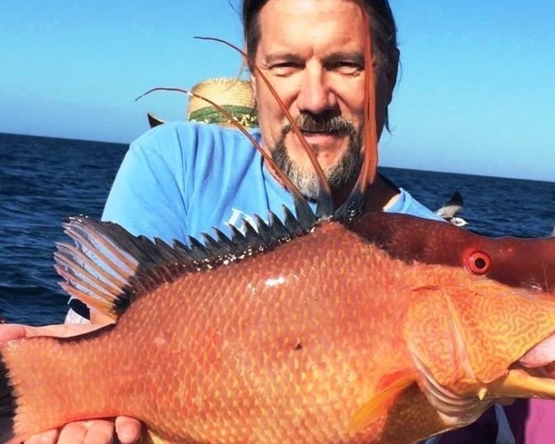 Fish on a 5-Hour Half-Day Trip in Madeira Beach