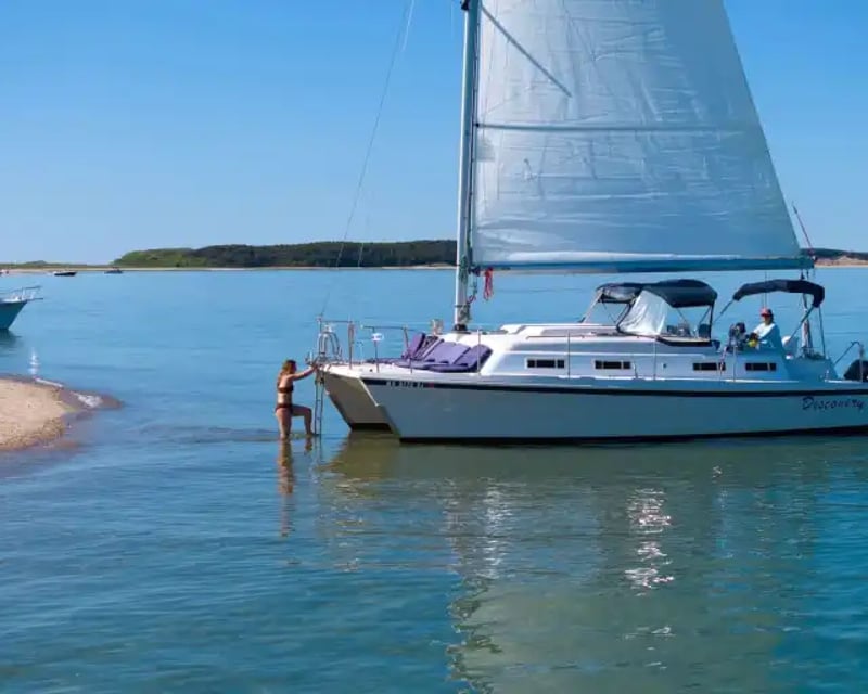 Cruise Wellfleet Harbor on a 3-Hour Morning Charter