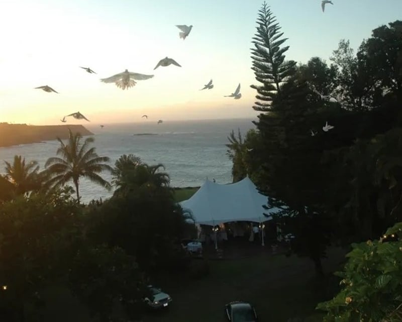 Sunset Garden Tour & Plant-Based Dinner in Haiku, Maui